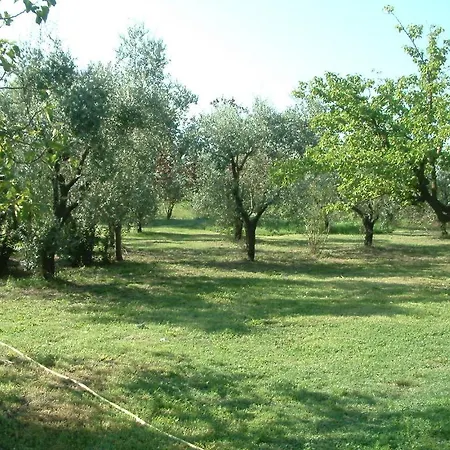 Agriturismo Il Capannaccio