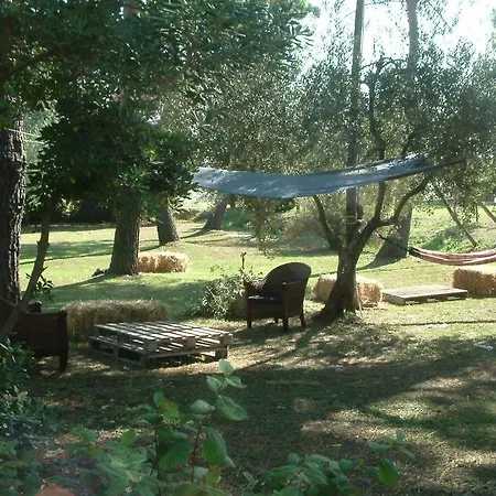 Alloggio per agriturismo Agriturismo Il Capannaccio