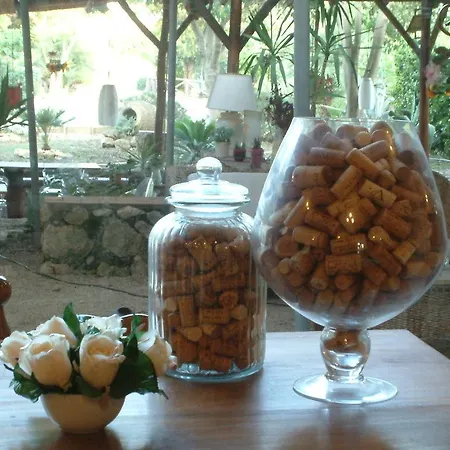 Alloggio per agriturismo Agriturismo Il Capannaccio Sezze