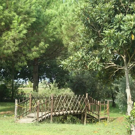Agriturismo Il Capannaccio Alloggio per agriturismo *