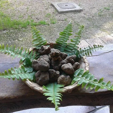 Alloggio per agriturismo Agriturismo Il Capannaccio Sezze
