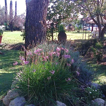 Agriturismo Il Capannaccio