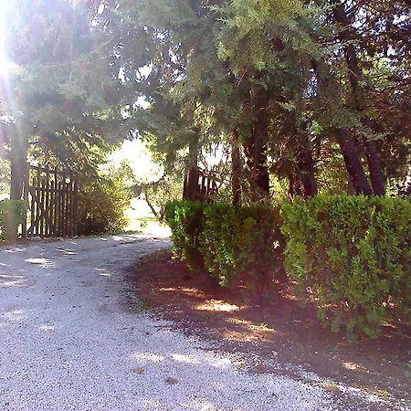 Agriturismo Il Capannaccio *