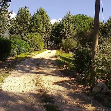 Agriturismo Il Capannaccio *