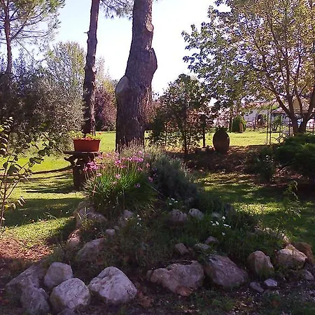 Alloggio per agriturismo Agriturismo Il Capannaccio Sezze