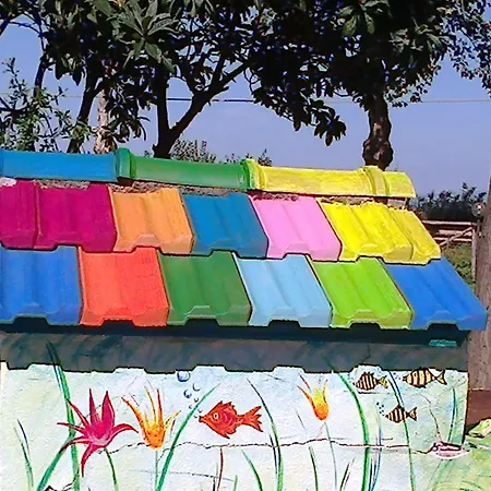 Agriturismo Il Capannaccio Alloggio per agriturismo